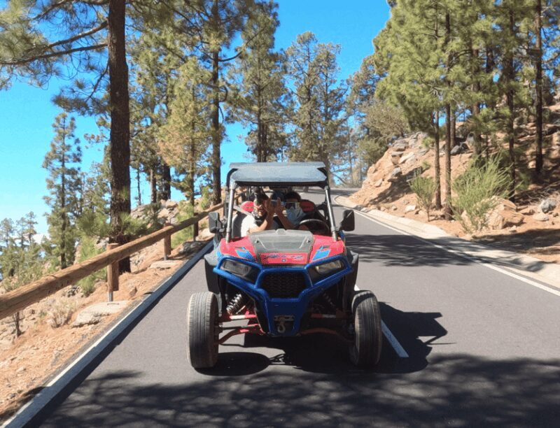 Tenerife: Volcano Teide Buggy Tour with Wine Tasting & Tapas - The Vineyard and Food Tasting