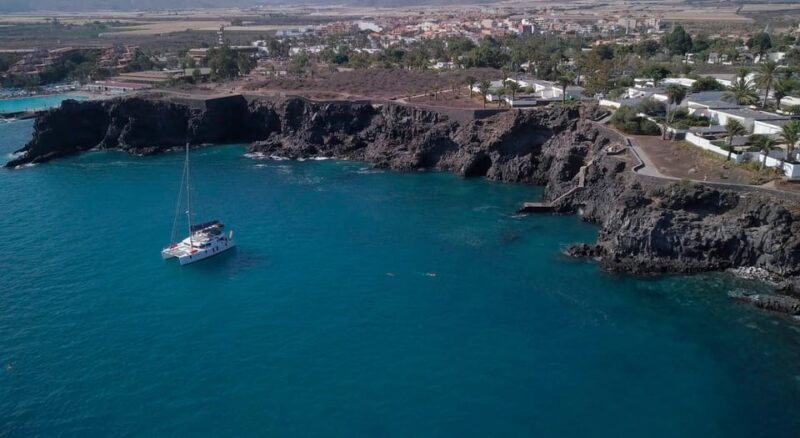Tenerife: Whale and Dolphin Watching Boat Tour - The Details: A Deep Dive into the Experience