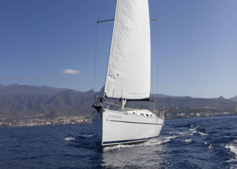 Tenerife: Whale and Dolphin Watching Tour by Sailboat - Key Points