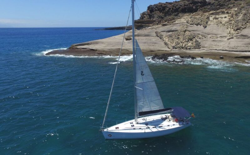 Tenerife: Whale and Dolphin Watching Tour by Sailboat - The Highlights and Why They Matter