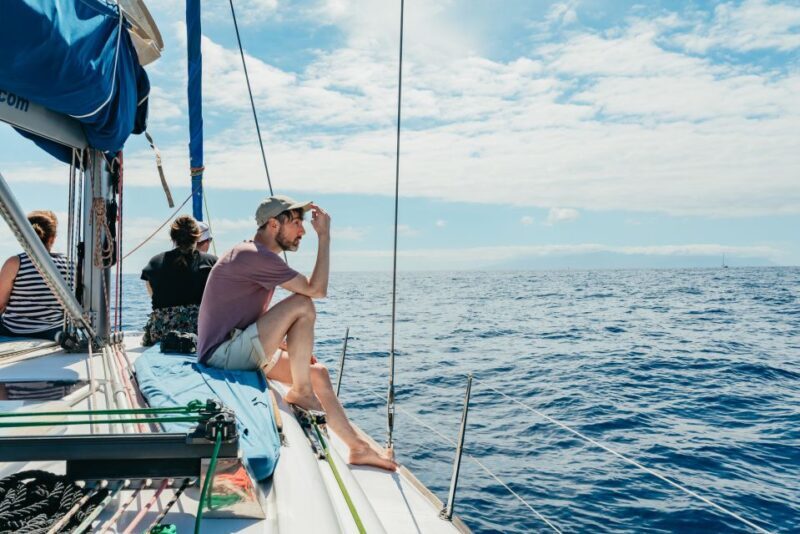 Tenerife: Whale & Dolphin Watching with Drinks and Snacks - FAQ