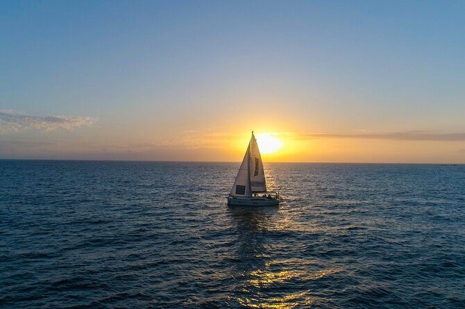 Tenerife Whale Watching and Snorkeling Yacht Trip - Guides and Crew