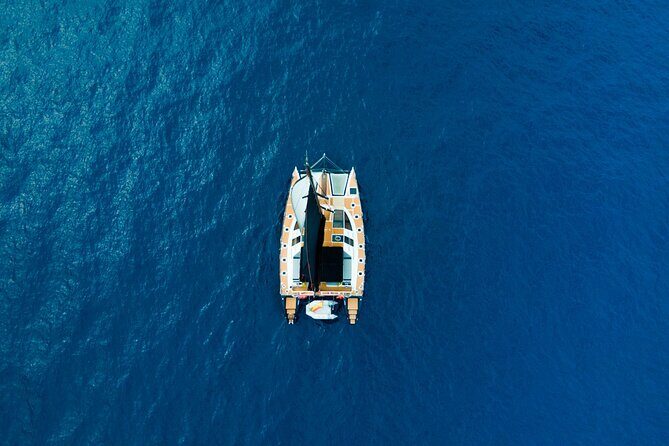 Tenerife Whales and Dolphins Watching Experience in Catamaran - The Real Value of the Tour