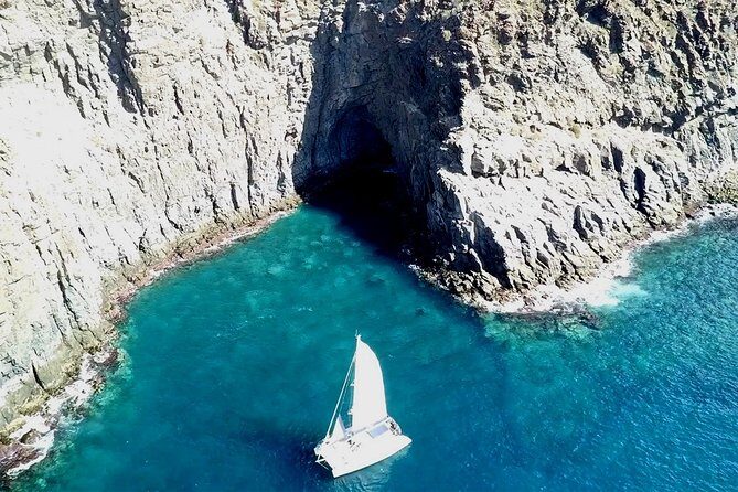 Tenerife Whales and Dolphins Watching Experience in Catamaran - Who Should Consider This Tour?