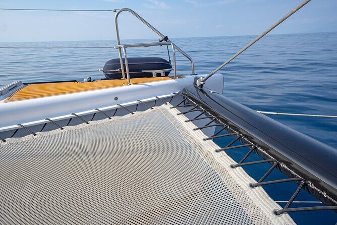 Tenerife Whales and Dolphins Watching Experience in Catamaran - FAQ