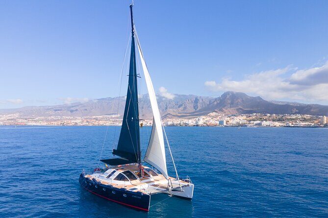 Tenerife Whales and Dolphins Watching Experience in Catamaran - Final Thoughts