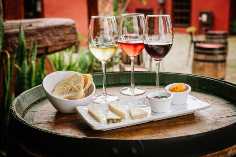 Tenerife: Wine Museum Ticket with Local Wines & Food Tasting - Practical Details & Tips