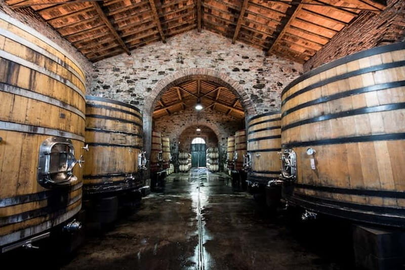 Tenimenti d'Alessandro - Visit the winery and wine tasting - Key Points