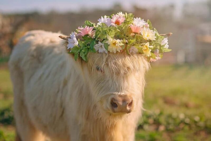 Tennessee: Cedar Pond Farms Floral Jewelry Workshop - FAQ