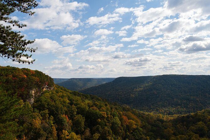 Tennessee Fall Colors Hiking Tour - In-Depth Look at the Tennessee Fall Colors Hiking Tour