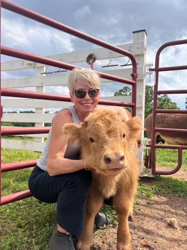 Tennessee: Fluffy Highland Cow Experience + Gelato & Coffee - Key Points