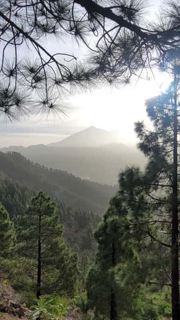 Teno: Circular hike from Erjos over the mountain ridge with views of Masca - Who Would Love This Experience?