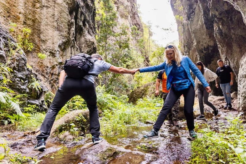 Teno Waterfalls and the Tropical Jungle of Tenerife - Key Points