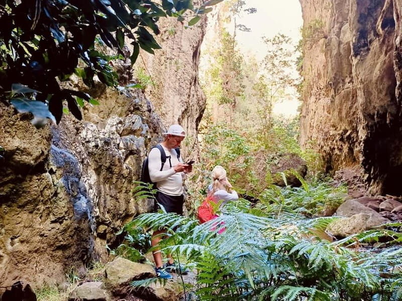 Teno Waterfalls and the Tropical Jungle of Tenerife - FAQ