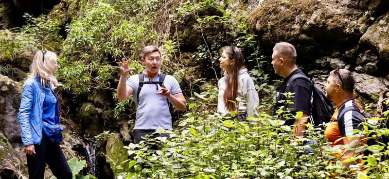 Teno Waterfalls and the Tropical Jungle of Tenerife - Final verdict