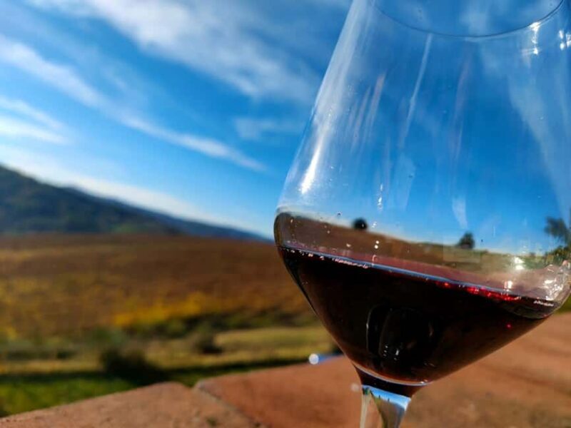 Tenuta Bonzara - Tour and wine tasting in the hills of Bologna - What’s Included and What’s Not