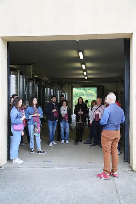 Tenuta Bonzara - Tour and wine tasting in the hills of Bologna - How the Price Reflects the Experience