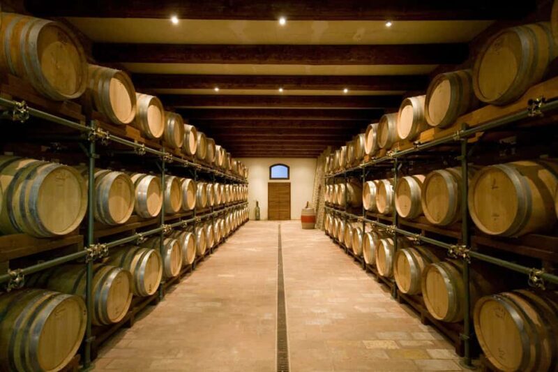 Tenuta Bonzara - Tour and wine tasting in the hills of Bologna - Who Should Consider This Tour?