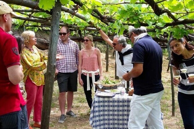 Tenuta San Francesco Wine Tasting - The Sum Up: Who Will Love This Experience?