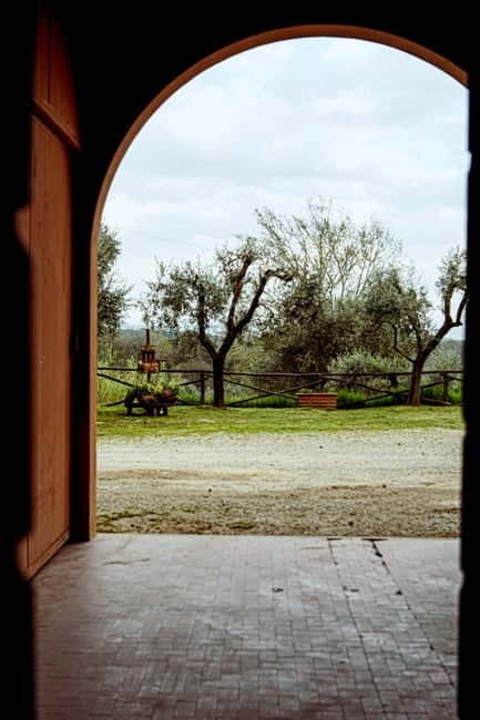 Tenuta San Vito: Organic Wine Tasting with Tuscan Cold Cuts - Who Should Book This Tour?