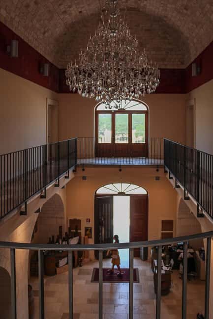 Tenute Girolamo: Winery tour and VIP tasting in the Itria Valley - A Deep Dive into the Experience