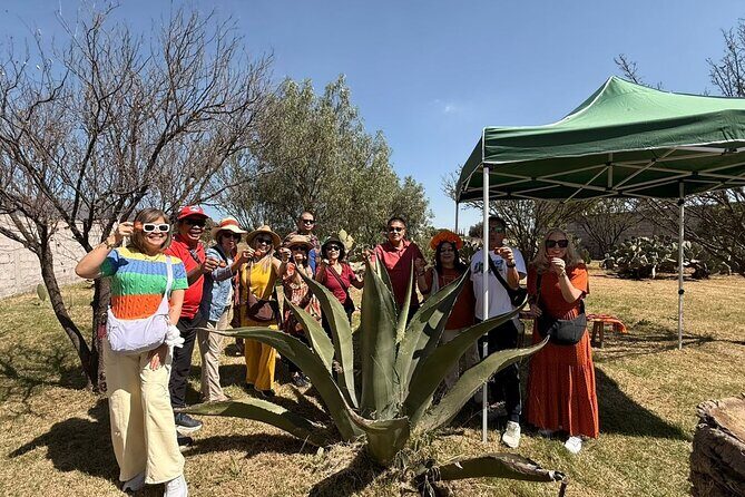Teotihuacan and Basilica of Guadalupe, 1 to 11 PASSENGERS. - Practical Details and Tips