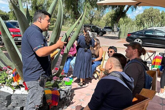 Teotihuacan Express with pick-up in Mexico City - Wrapping Up: Return and Reflection