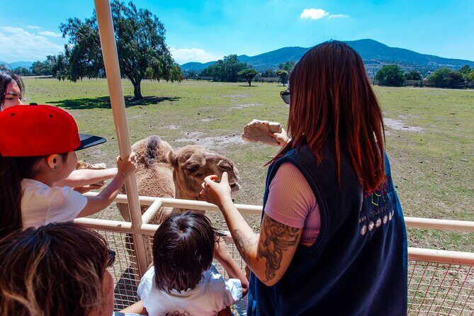Teotihuacán for kids - Who Should Consider This Tour?