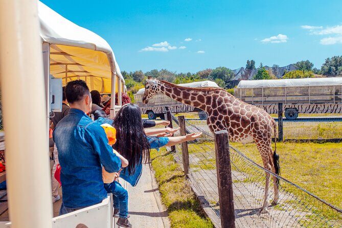 Teotihuacán for kids - FAQ