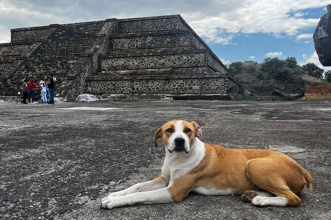 Teotihuacan magical private tour, with pulque tasting - The Sum Up