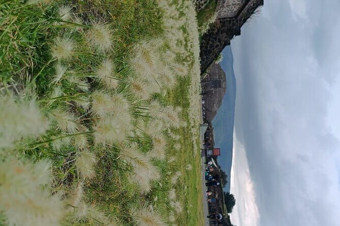 Teotihuacan Pyramids small groups and Basilica of Guadalupe - Transportation and Logistics