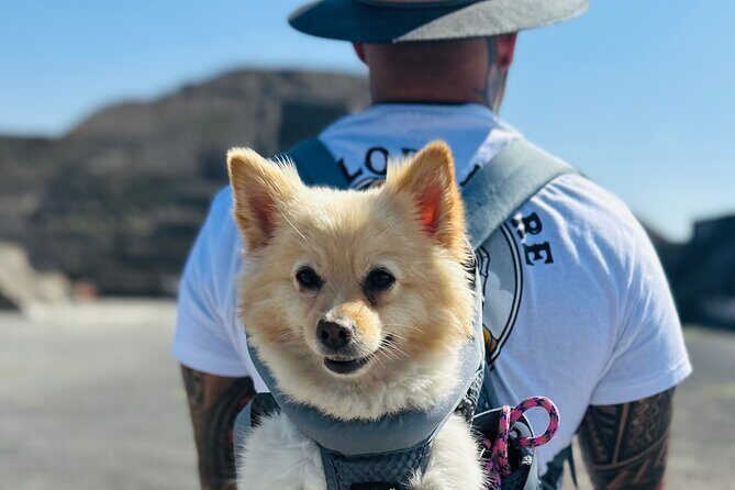 Teotihuacan Sunrise Tour from Mexico City - FAQ