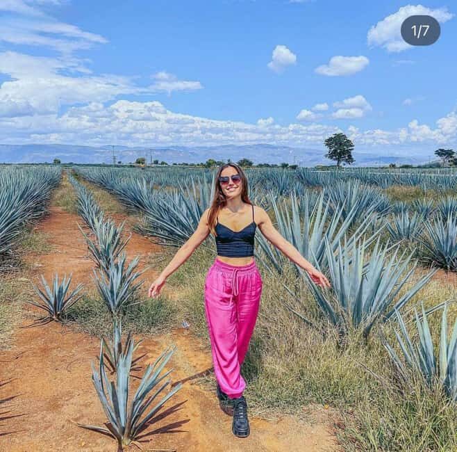 Tequila and Cantaritos Tour from Guadalajara - Key Points