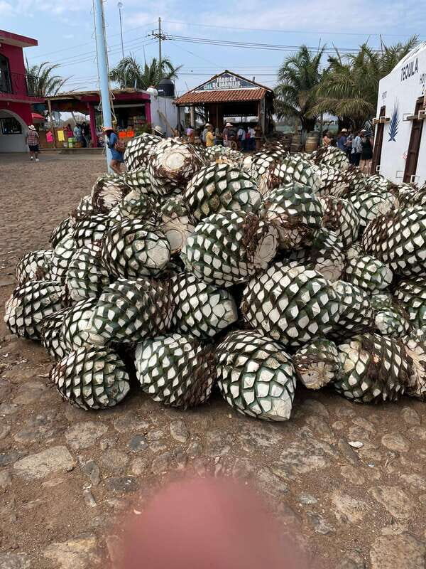 Tequila and Cantaritos Tour from Guadalajara - FAQs