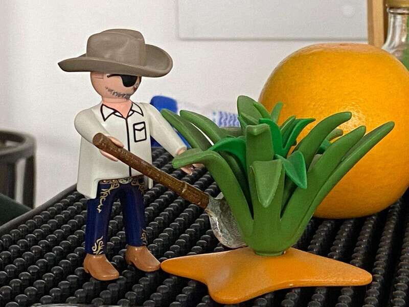 Tequila and Mezcal tasting in an educational tasting room - Key Points