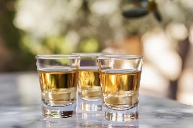 Tequila and Mezcal Tasting in Colonial Mansion Restaurante Diego - An In-Depth Look at the Experience