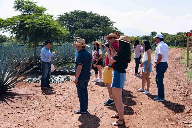 Tequila distillery experience, Jose Cuervo & Tequila Magic Town - Visiting a Traditional Distillery