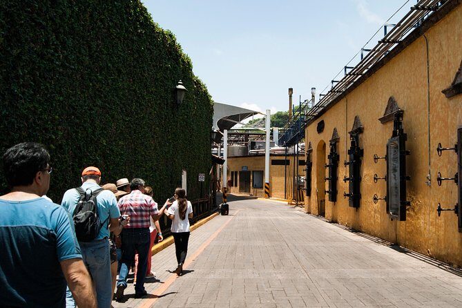 Tequila distillery experience, Jose Cuervo & Tequila Magic Town - Town Time and Lunch