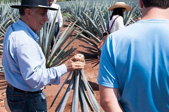 Tequila distillery experience, Jose Cuervo & Tequila Magic Town - Returning to Guadalajara