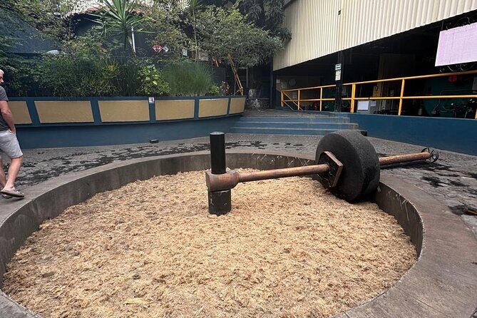 Tequila Experience History Flavor and Tradition - Key Points