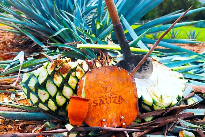 Tequila Express - An Overview of the Tequila Express Experience