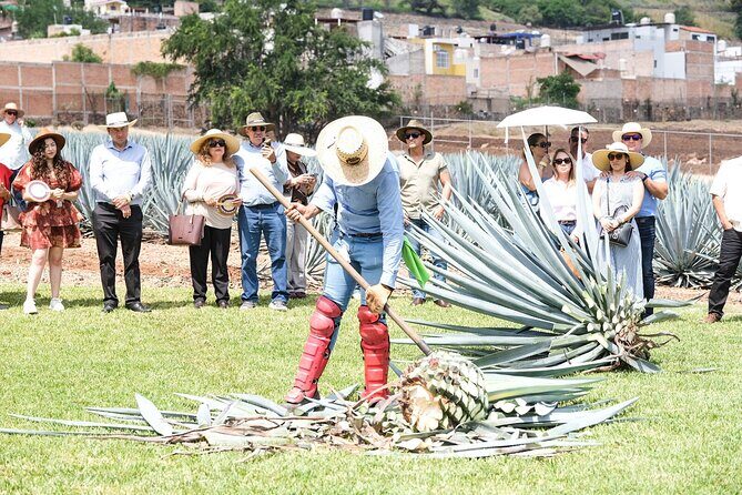 Tequila Express Round Trip by Train - Frequently Asked Questions