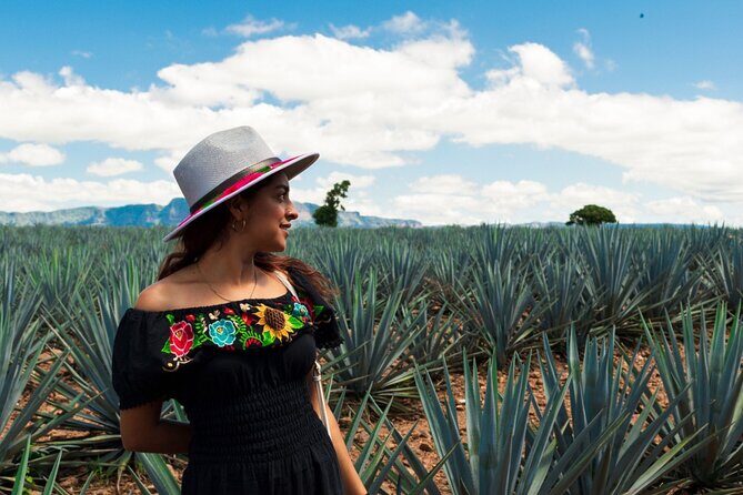 Tequila Full-Day Discovery Tour of Amatitan - The Practicalities