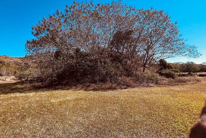 Tequila/Guachimontones Tour-cultural heritage route - FAQ