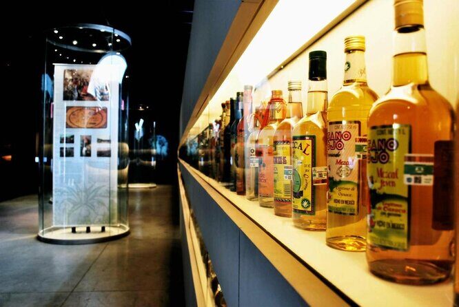 Tequila & Mezcal Exclusive Tour - Key Points