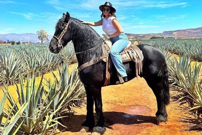 Tequila Pueblo Magico Adventure Day Trip from Puerto Vallarta - An In-Depth Look at the Tour Itinerary