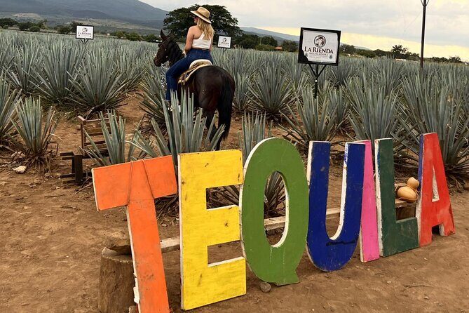 Tequila Pueblo Magico Adventure Day Trip from Puerto Vallarta - Who Is This Tour Best For?
