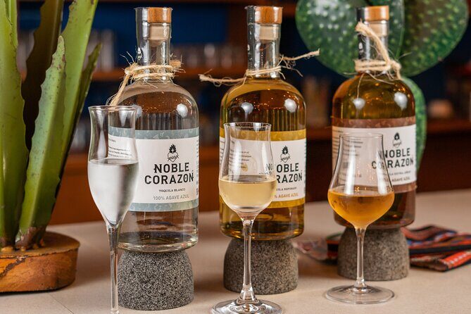 Tequila Tasting and Mixology Experience in Cancun - An In-Depth Look at the Experience