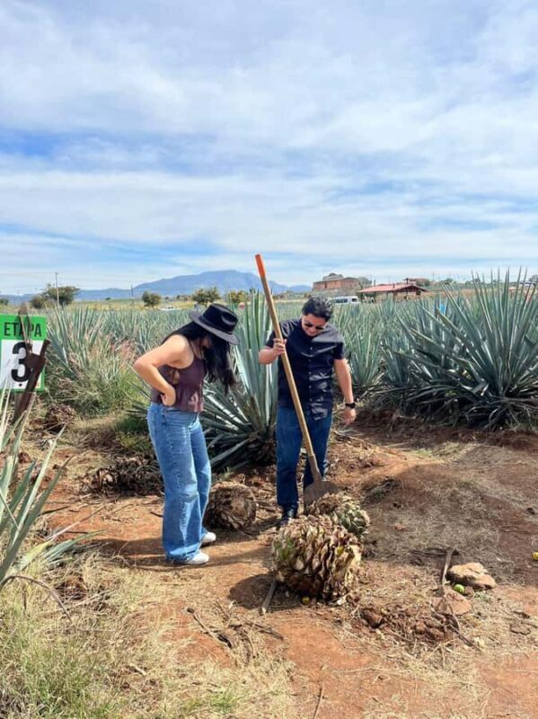 Tequila Tour from Guadalajara: Barrel Ride in Tequila - An Inside Look at the Tour Experience