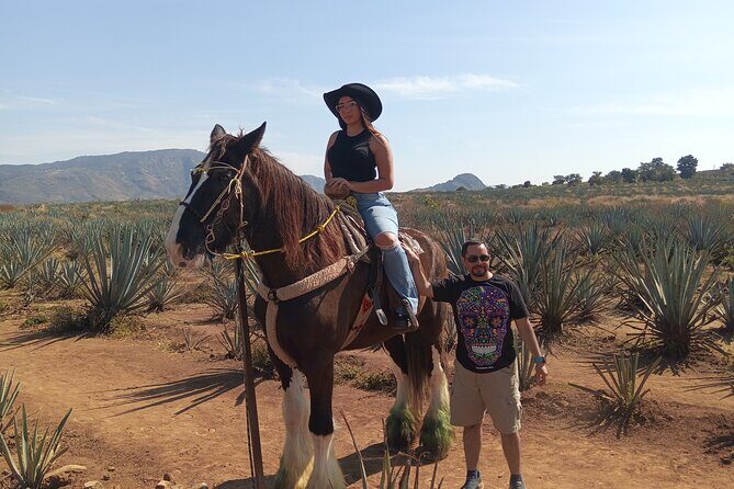 Tequila Xtremo Tour Experience - FAQ